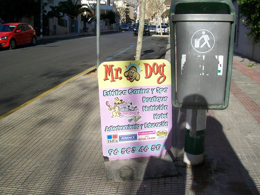 a dog grooming salon named Mr. Dog